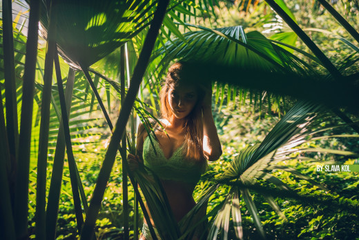 1703145 (a): :2560x1709
